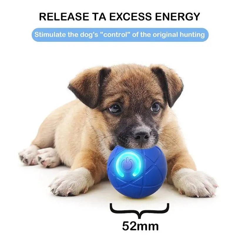Interactive LED Smart Dog Toy Ball - Rechargeable Motion-Sensing Play Ball for Small & Medium Dogs and Cats